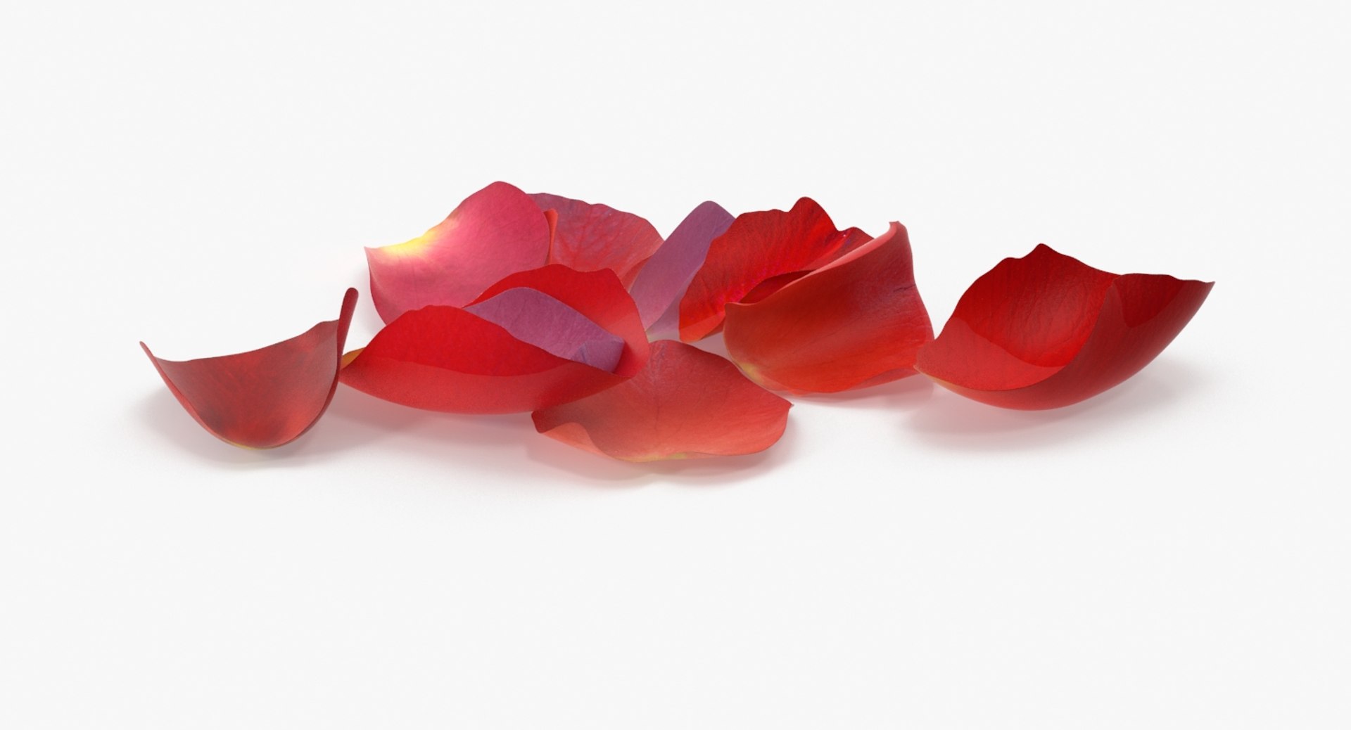 45,284 Rose Petal Outline Images, Stock Photos, 3D objects
