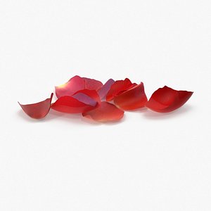rose petals 3d model
