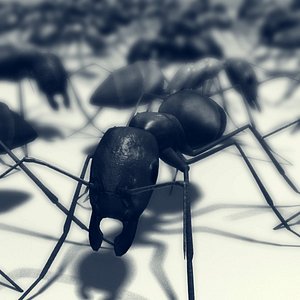 3ds max ant