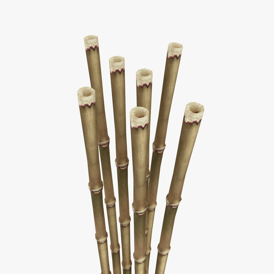 3d Model Dried Bamboo Cane