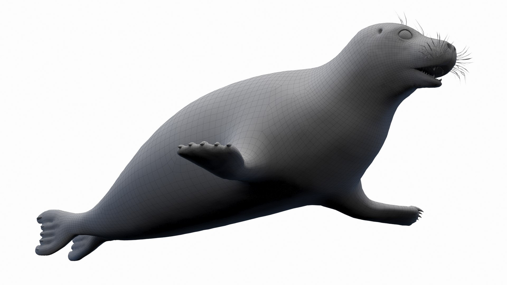 3D Harbor Seal Animated Model - TurboSquid 2148958