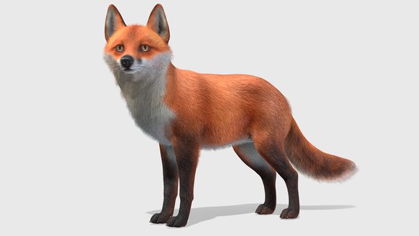 ブログ はなたびがくだん FOX きつね キツネ アニマル 動物 男女兼用