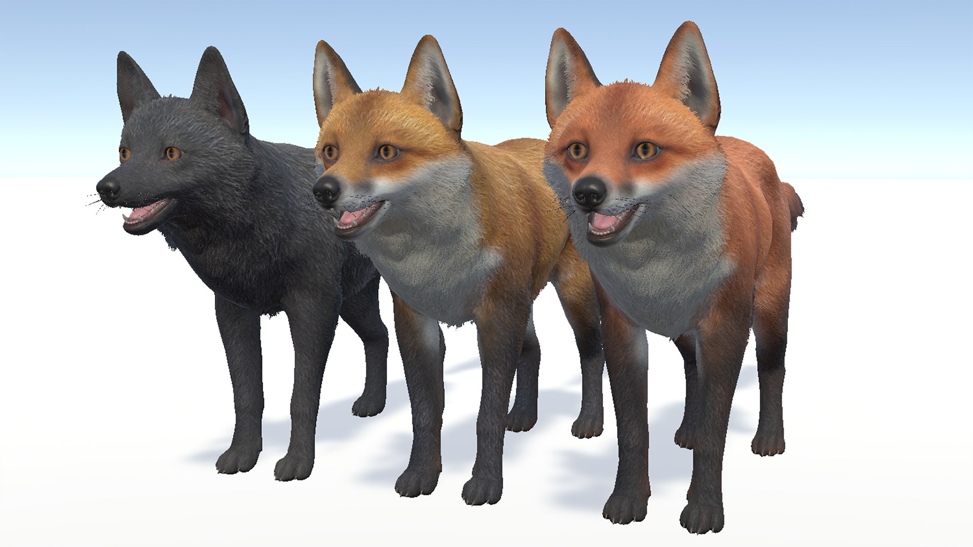 3D Fox - Male Model - TurboSquid 2107378