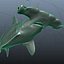 Hammerhead Shark