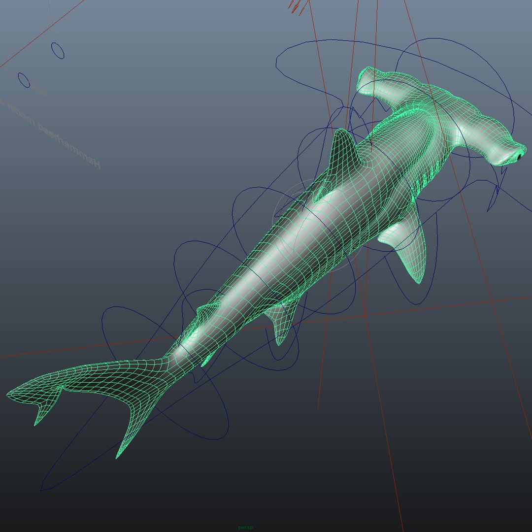 ma hammerhead shark https://p.turbosquid.com/ts-thumb/ld/ILKFVW/iFaxxrIo/hammerheadwires2/png/1325350808/1920x1080/fit_q87/5280308a7c2dec465c713ac57379631f7f91865c/hammerheadwires2.jpg