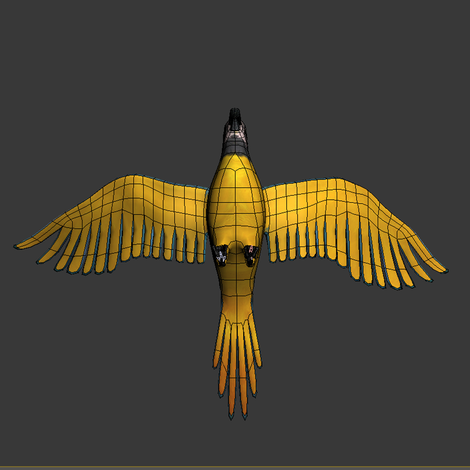 3d model parrot animation flying