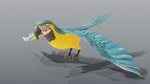 Flying Parrot Blue and Yellow Macaw - Rigged Animated PBR