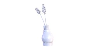 Lightbulb-shaped Vase with flowers 3D model 3D model