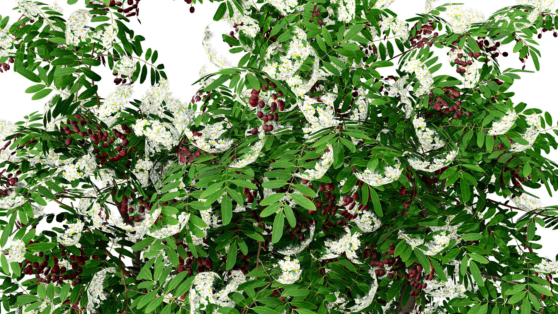 3D British Hedgerow Plants 3D Asset Collection model https://p.turbosquid.com/ts-thumb/ld/W8J2fm/6w/ukhedgerowcherrylaurelversion1z32l/jpg/1754079181/1920x1080/fit_q87/7cd5370083fa0acf1df98c5b09fb7f86aa01d386/ukhedgerowcherrylaurelversion1z32l.jpg