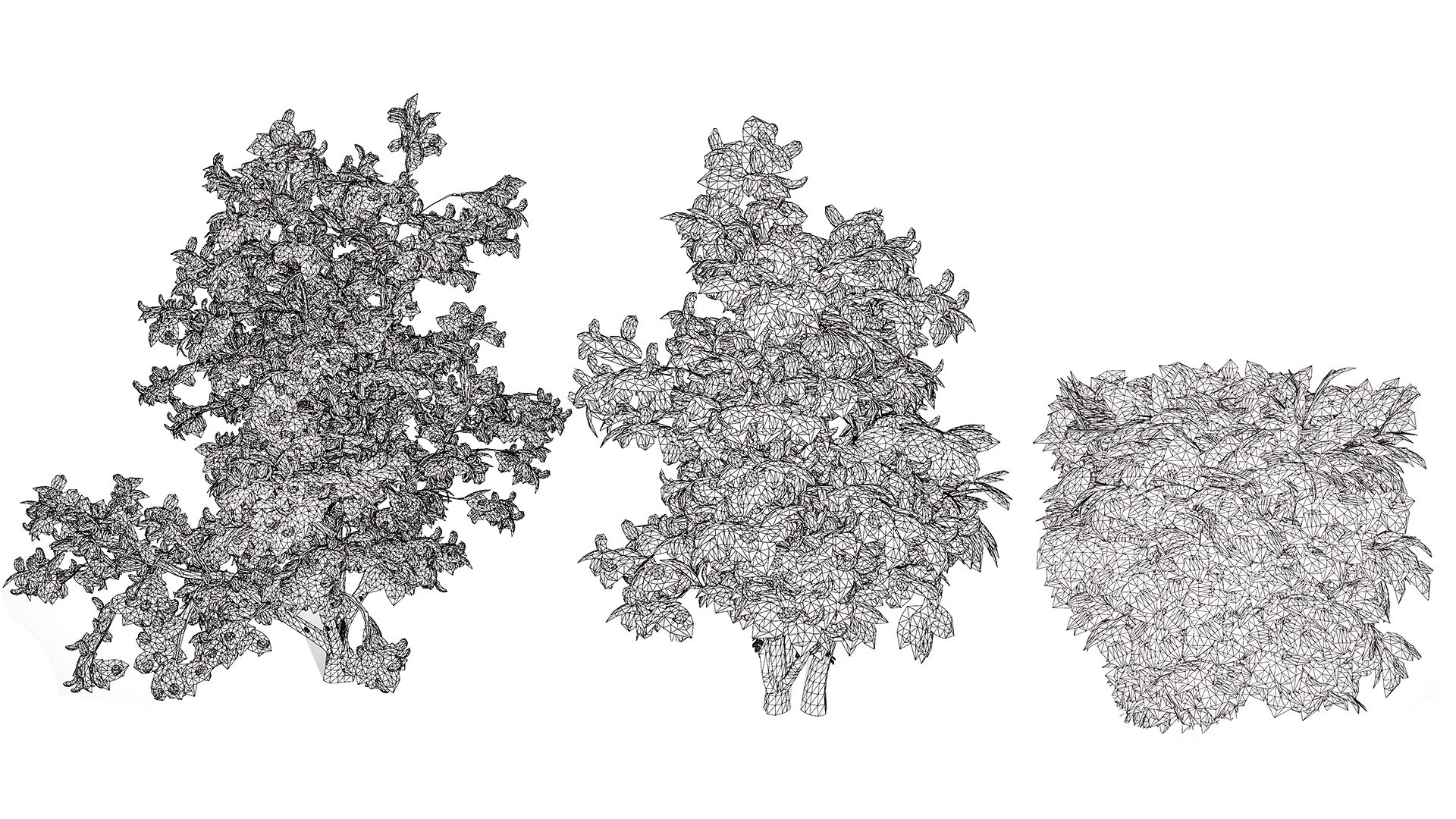 3D British Hedgerow Plants 3D Asset Collection model https://p.turbosquid.com/ts-thumb/ld/W8J2fm/Ke/wirel/jpg/1754079184/1920x1080/fit_q87/700d4d3291be13b6a6919e72cba07ec2dfa9ce9d/wirel.jpg