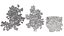 British Hedgerow Plants 3D Asset Collection