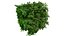 British Hedgerow Plants 3D Asset Collection