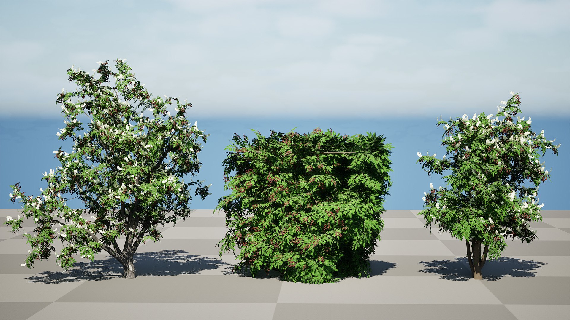 3D British Hedgerow Plants 3D Asset Collection model https://p.turbosquid.com/ts-thumb/ld/W8J2fm/j5/highresscreenshot00000/jpg/1754079172/1920x1080/fit_q87/4ce45a853a5235a4319033a360aa306b516793f4/highresscreenshot00000.jpg