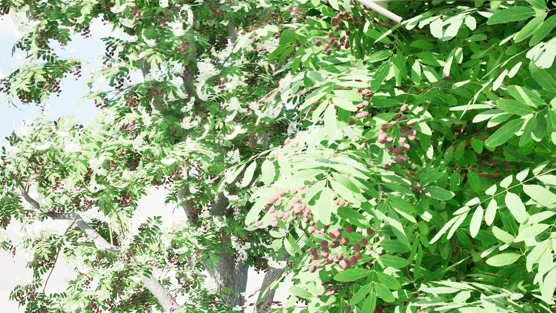 3D British Hedgerow Plants 3D Asset Collection model https://p.turbosquid.com/ts-thumb/ld/W8J2fm/ro/highresscreenshot00001/jpg/1754079176/1920x1080/fit_q87/d4b65538bcaeda450671b66569e76e793d615bce/highresscreenshot00001.jpg