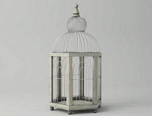 hexi decorative cage zara 3D model