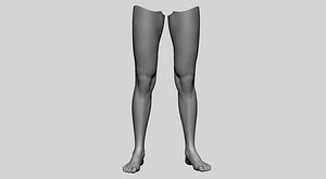 leg female 3D
