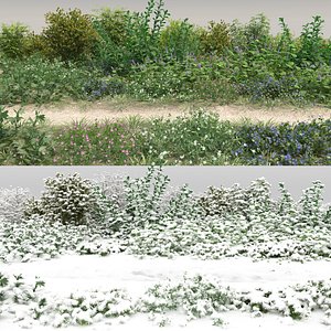 30 Wild Bushes with snow