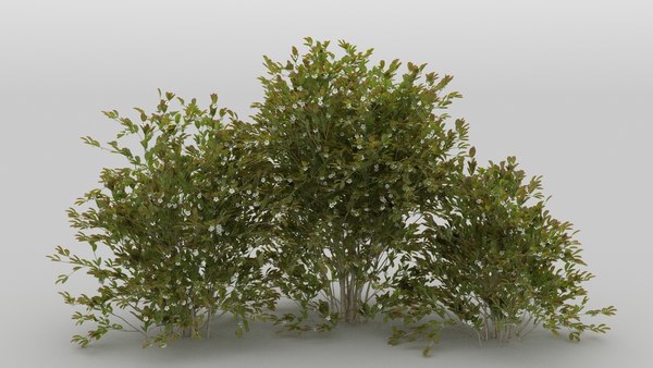 3D 30 wild bushes - TurboSquid 1269994