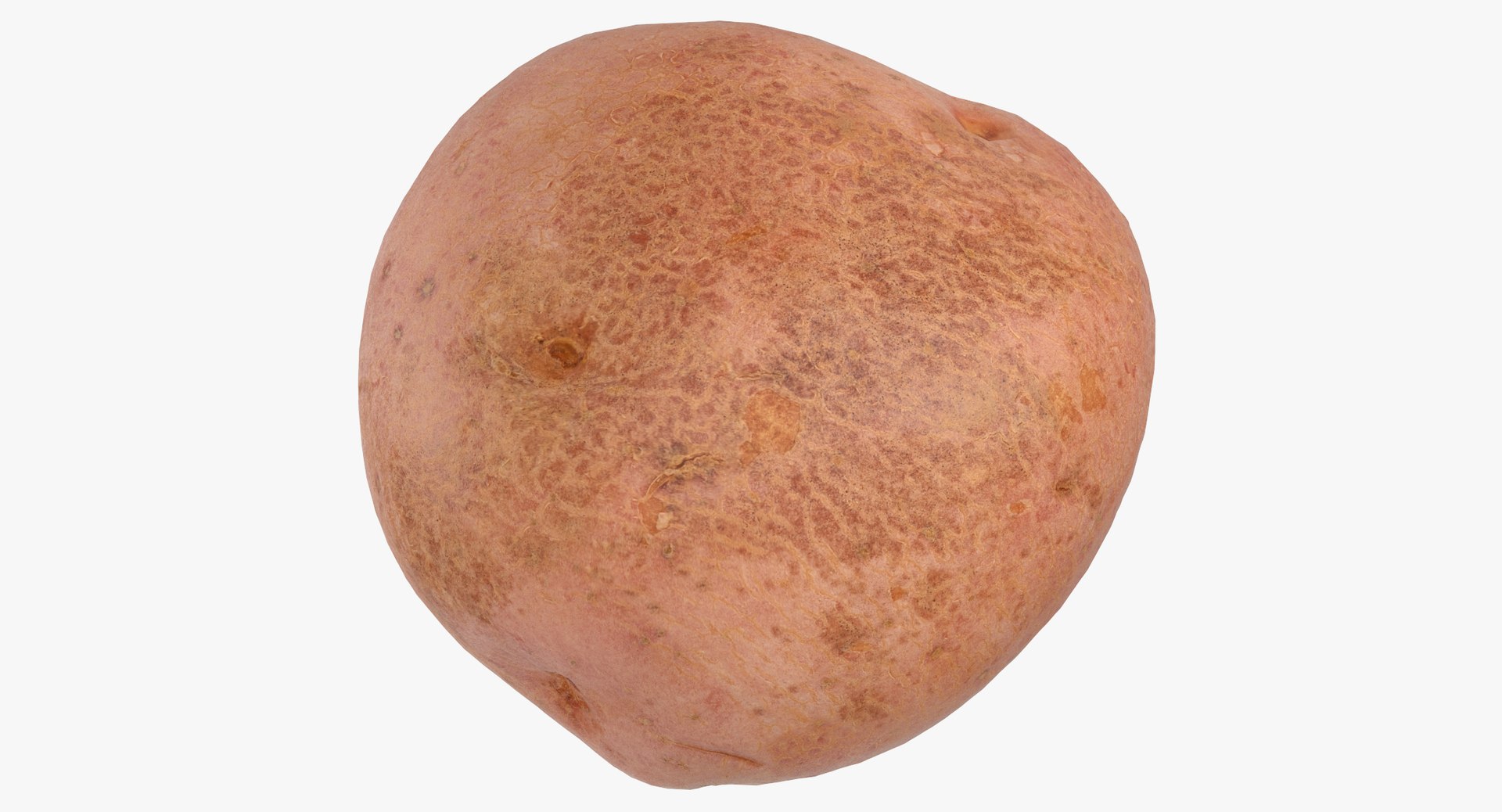 Potatoes Game Ready Collection 04 - 6 models 3D model https://p.turbosquid.com/ts-thumb/ld/aY8Uc7/HT/red_potato_03_game_ready_thumbnail_0000/jpg/1637852549/1920x1080/fit_q87/bd8c28b32b8003e551b85fe333bd7df7e88ffe4d/red_potato_03_game_ready_thumbnail_0000.jpg