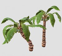 Cartoon Modular Palm Tree