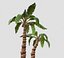 Cartoon Modular Palm Tree