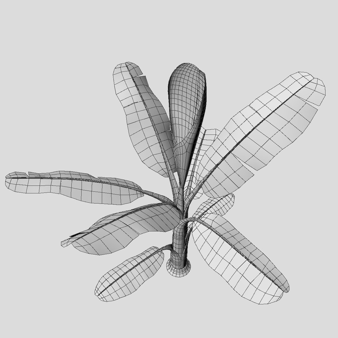 3D Banana Tree Model - TurboSquid 1259497