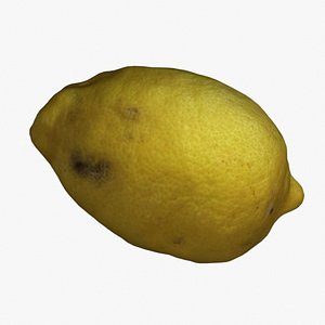 Lemon 3D model
