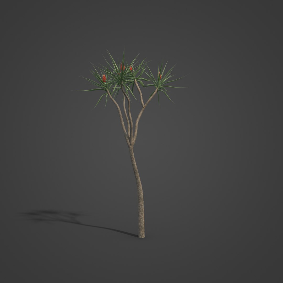 3D 2021 PBR Tree Aloe Collection - Aloe Bainesii - TurboSquid 1757596