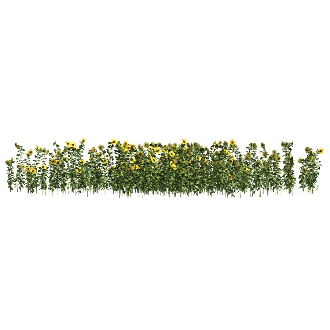 sunflower lawn 3D model https://p.turbosquid.com/ts-thumb/ld/rWktvF/t5/05pp/jpg/1667068331/1920x1080/fit_q87/22bcb4fd9031cb830e11d1dbb78e7d8b6d62b147/05pp.jpg