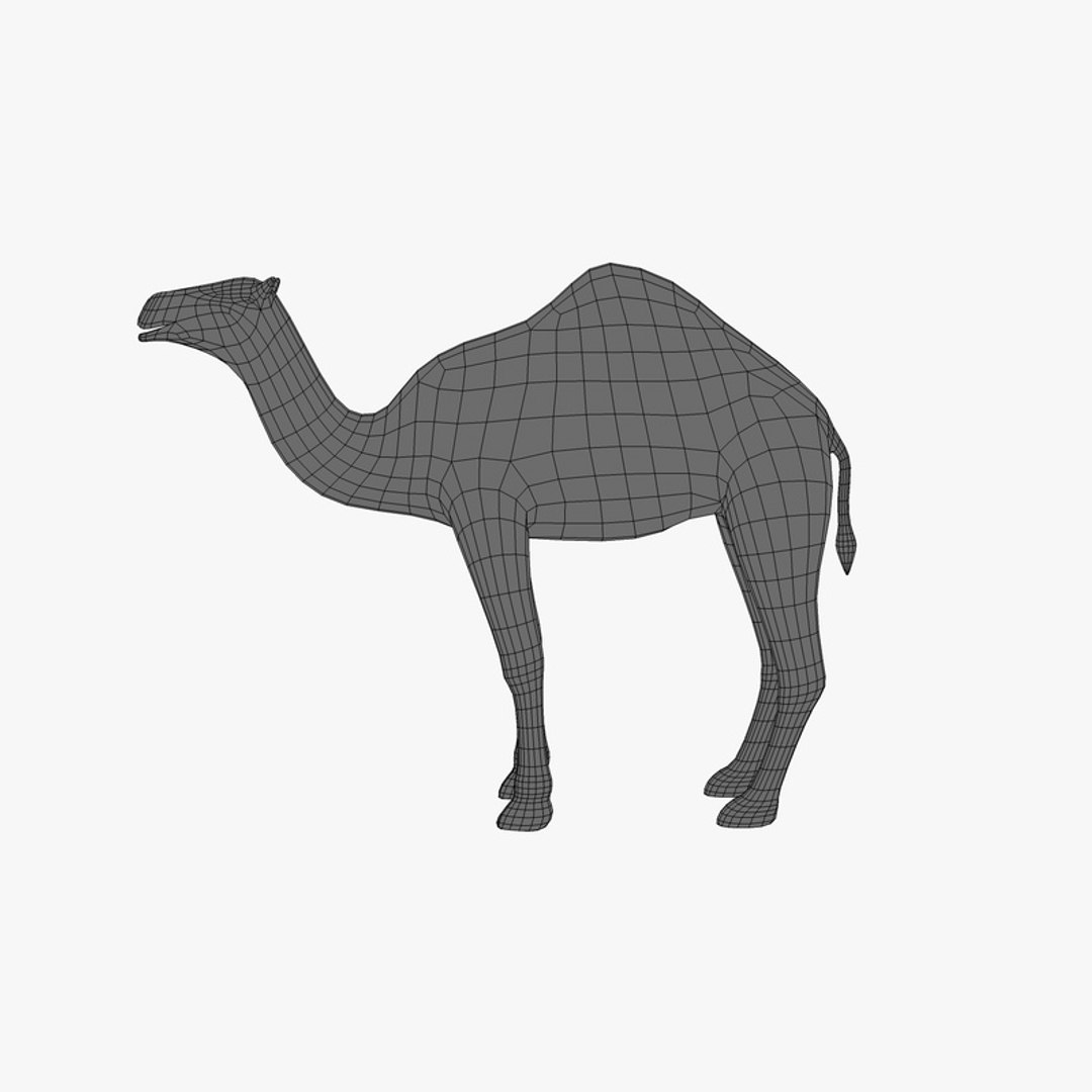 3d camel https://p.turbosquid.com/ts-thumb/le/01IDXs/0EJn7yu7/006sren_camel/jpg/1393171223/1920x1080/fit_q87/1607bdb623ea0a45cc57209acd17e6f241c95d9a/006sren_camel.jpg