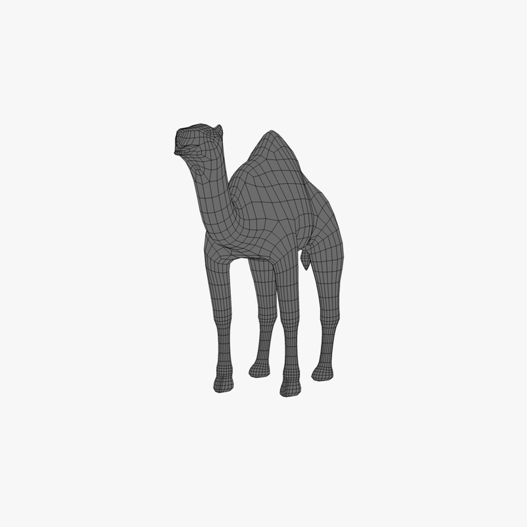 3d camel https://p.turbosquid.com/ts-thumb/le/01IDXs/B6wVo1fn/007sren_camel/jpg/1393171223/1920x1080/fit_q87/b68bb415eaabe211da39091d1606904cc1d1feae/007sren_camel.jpg