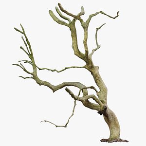 Wiggle Tree Branches Remastered 3D model