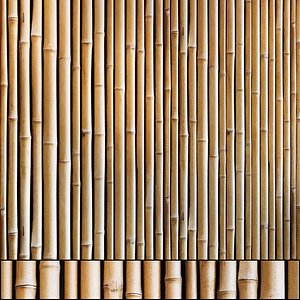 3D model bamboo wall pattern