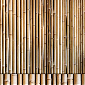 Bamboo wall pattern