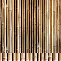 Bamboo wall pattern