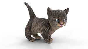 Fur Cute Cat kitten Dark Gray Animated 3D model