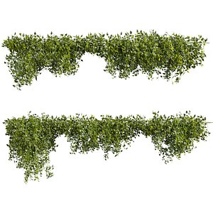 plant vol 946 -  ivy - pothos - creeper model