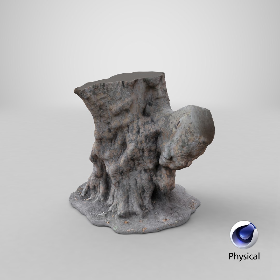 3D model old tree trunk https://p.turbosquid.com/ts-thumb/le/M6WIgQ/8io0bufQ/stemcell_cinema_4d_physical_render/png/1598902144/1920x1080/fit_q87/dd7766288f46d02f5c7d9ef34b4d851f84a06e02/stemcell_cinema_4d_physical_render.jpg