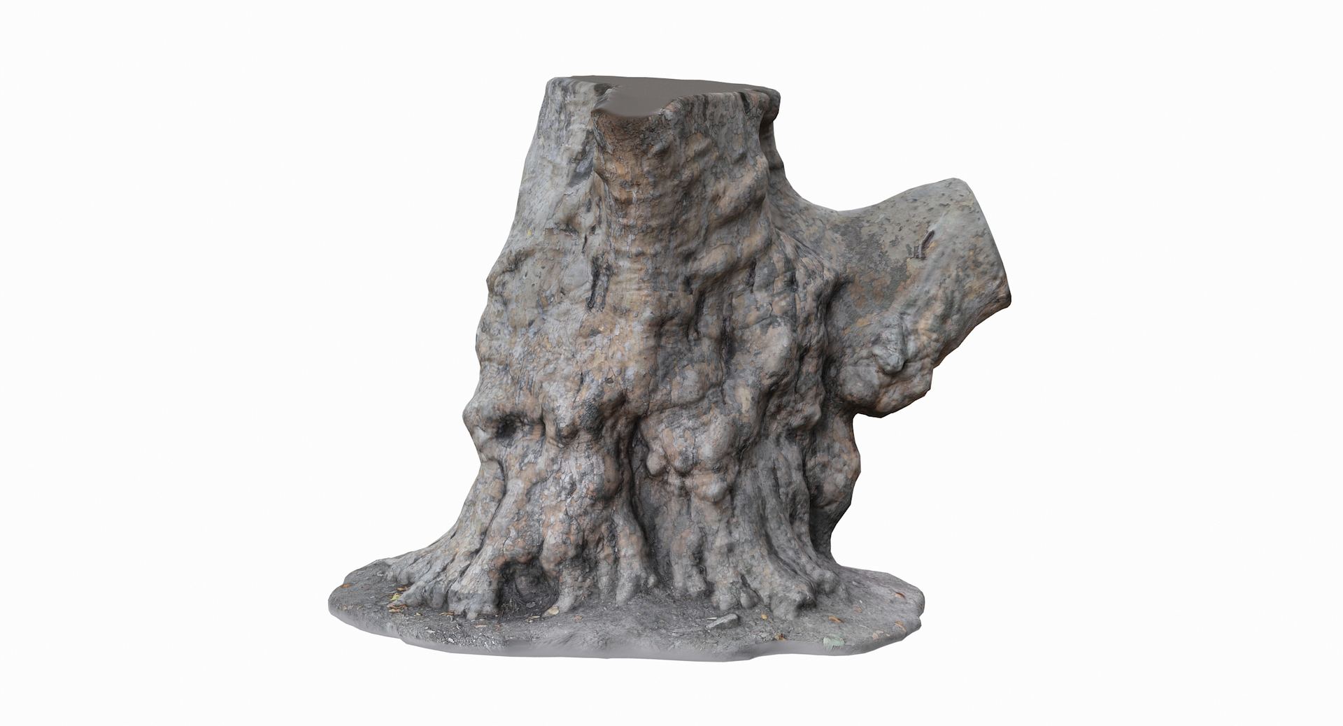 3D model old tree trunk https://p.turbosquid.com/ts-thumb/le/M6WIgQ/JUTITyOh/276_360/jpg/1597516030/1920x1080/turn_fit_q99/d8384417b1feb6c14254f4801034f0f3fab5fd02/276_360-1.jpg