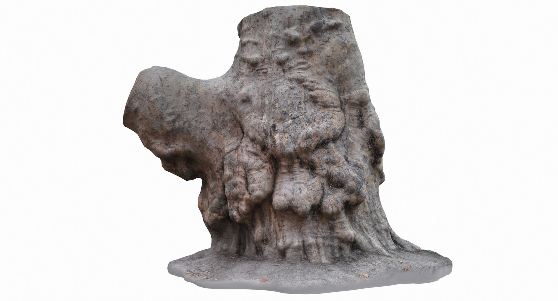 3D model old tree trunk https://p.turbosquid.com/ts-thumb/le/M6WIgQ/Yt5cycPG/276_color0004/jpg/1597515736/1920x1080/fit_q87/4c6f5a5c6d623a04811e22fc022925b42294febe/276_color0004.jpg