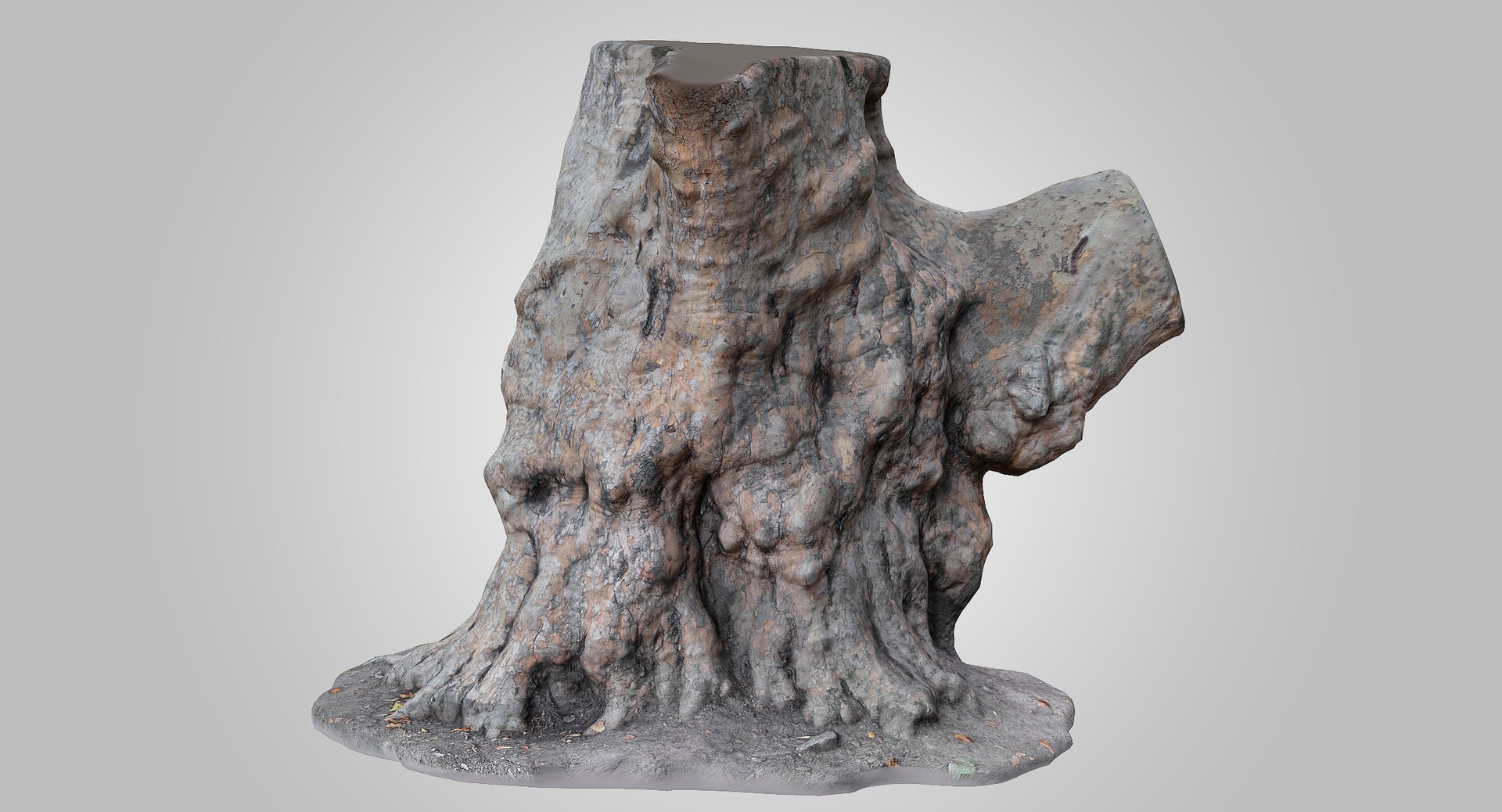3D model old tree trunk https://p.turbosquid.com/ts-thumb/le/M6WIgQ/bVJM3c3i/276_cover2/jpg/1597515711/1920x1080/fit_q87/f4f4cf83efe292afa99620448c25f04d76b915ea/276_cover2.jpg