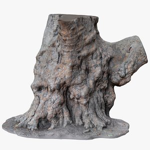 3D model old tree trunk