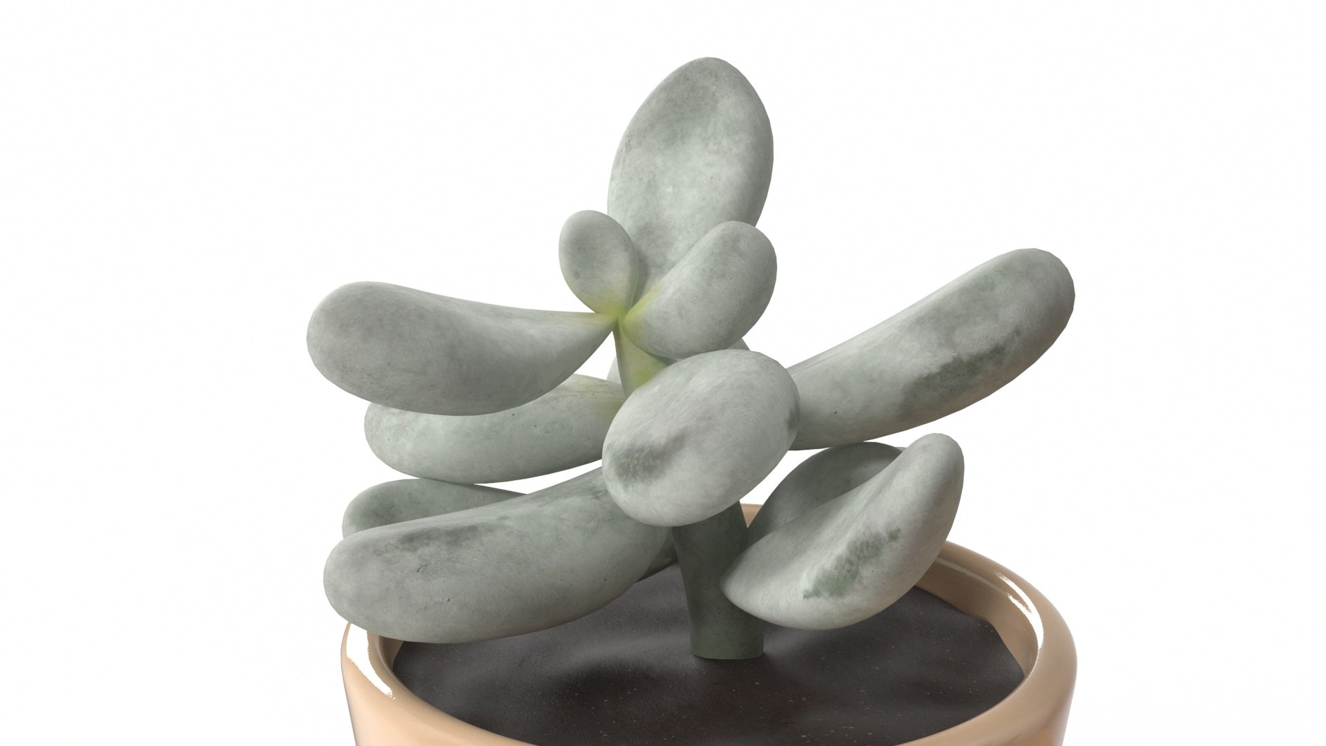 Sagaform Double Herb Pot Beige 3D model https://p.turbosquid.com/ts-thumb/le/O6GJ5w/BN/sagaformdoubleherbpotbeige3dmodel013/jpg/1719966837/1920x1080/fit_q87/8831360d0b2a1b2f80f025bc49f1495f56fc4294/sagaformdoubleherbpotbeige3dmodel013.jpg