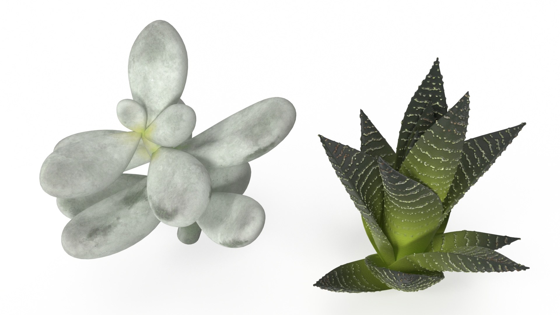 Sagaform Double Herb Pot Beige 3D model https://p.turbosquid.com/ts-thumb/le/O6GJ5w/Rg/sagaformdoubleherbpotbeige3dmodel016/jpg/1719966854/1920x1080/fit_q87/abf6cc203f3b6542b7eb00a9f271aa910da2ba01/sagaformdoubleherbpotbeige3dmodel016.jpg