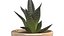 Pot à herbes double Sagaform Beige