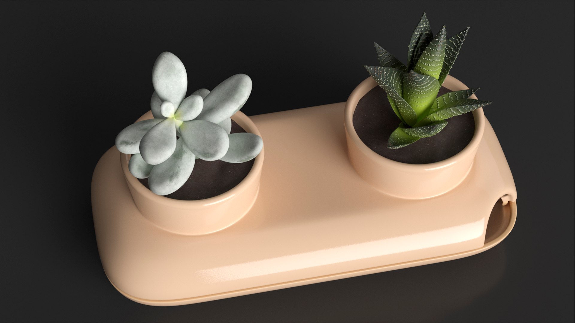 Sagaform Double Herb Pot Beige 3D model https://p.turbosquid.com/ts-thumb/le/O6GJ5w/rq/sagaformdoubleherbpotbeige3dmodel006/jpg/1719966796/1920x1080/fit_q87/55f3e2f40dac31f6c175b1cfe60bcdbfad0ab154/sagaformdoubleherbpotbeige3dmodel006.jpg