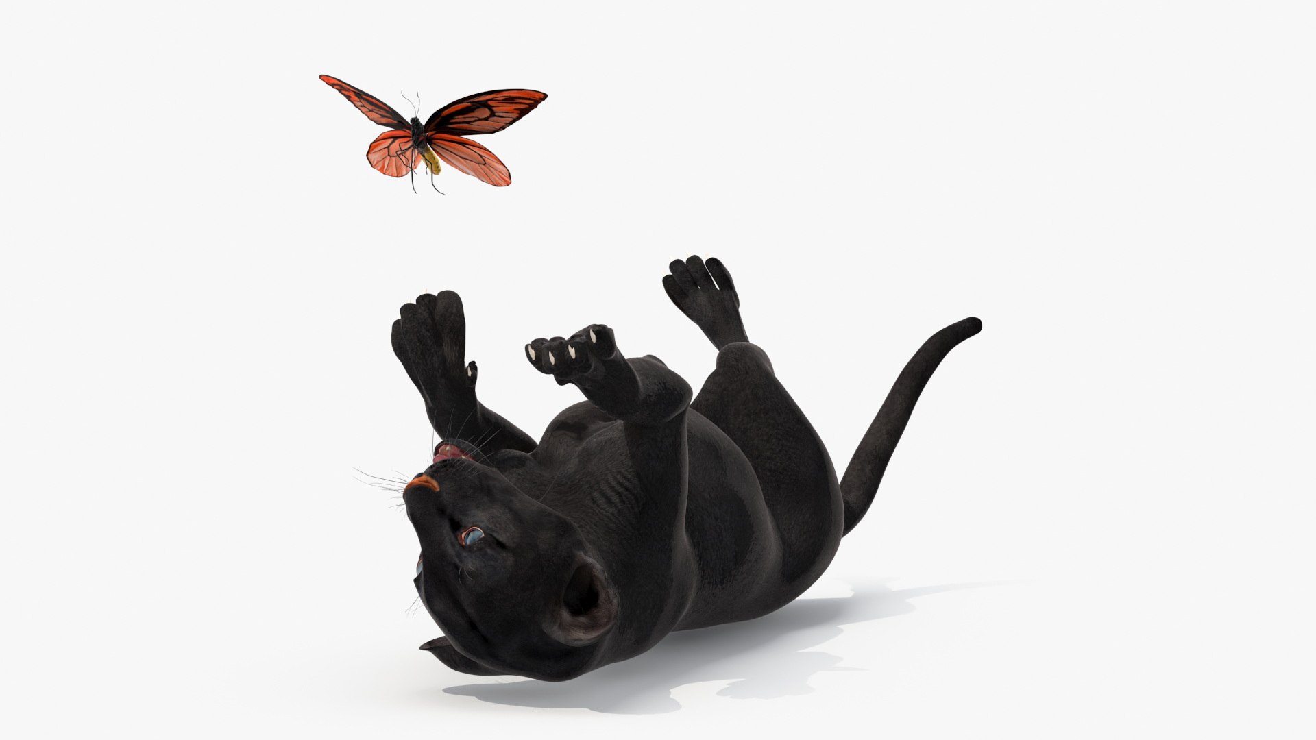 Playful Black Panther Cub with Butterfly 3D model preview