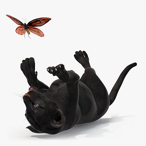 Playful Black Panther Cub with Butterfly