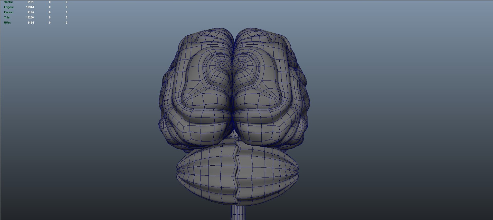 Brain anatomy 3D model https://p.turbosquid.com/ts-thumb/le/caHTDb/Go/wire03/jpg/1732752012/1920x1080/fit_q87/d80e3a7ad9044d8c75692dad8ac698ce547c98ed/wire03.jpg
