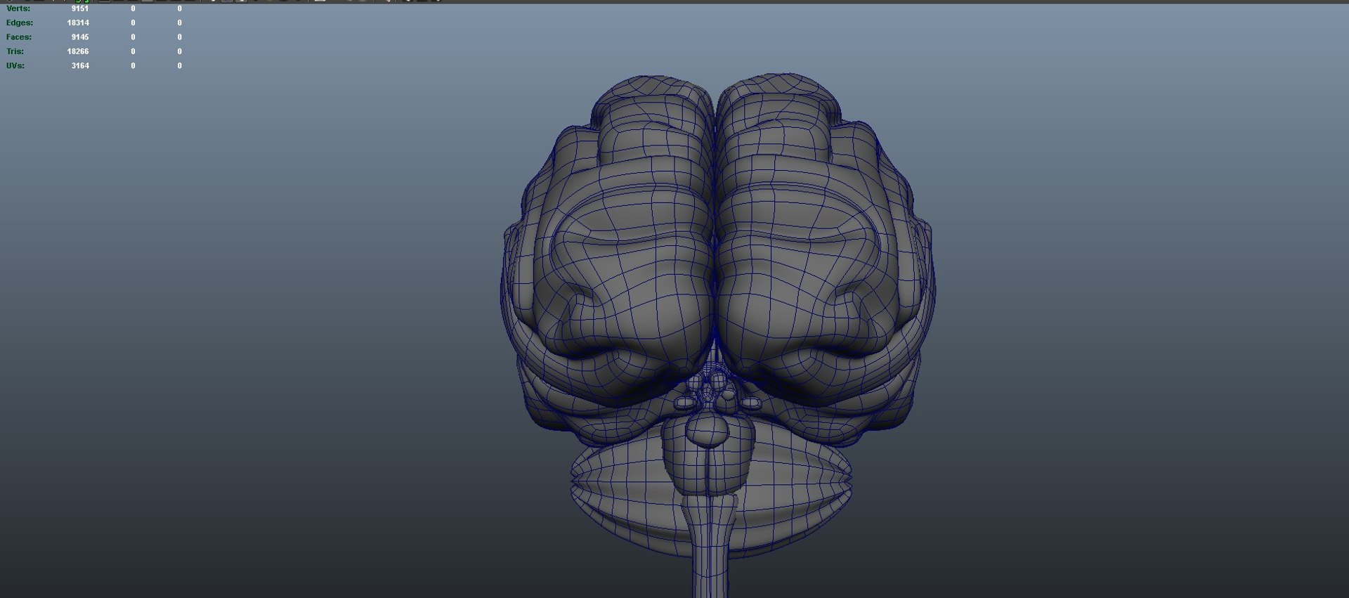 Brain anatomy 3D model https://p.turbosquid.com/ts-thumb/le/caHTDb/Yj/wire01/jpg/1732752012/1920x1080/fit_q87/3cb268495a0def3a1c736c73d421b160a8f534d8/wire01.jpg